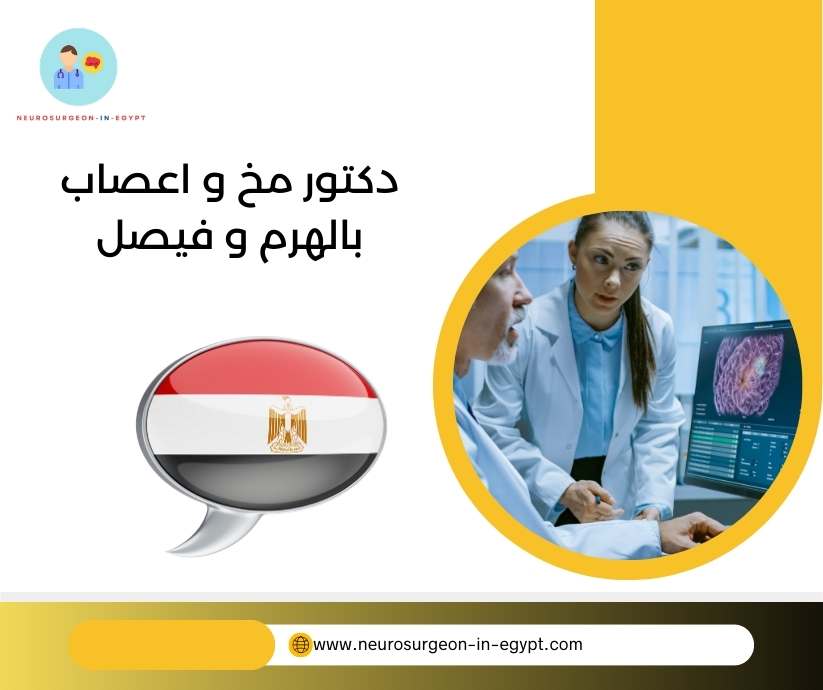 دكتور مخ و اعصاب بالهرم و فيصل