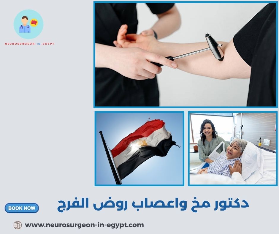 دكتور مخ واعصاب روض الفرج