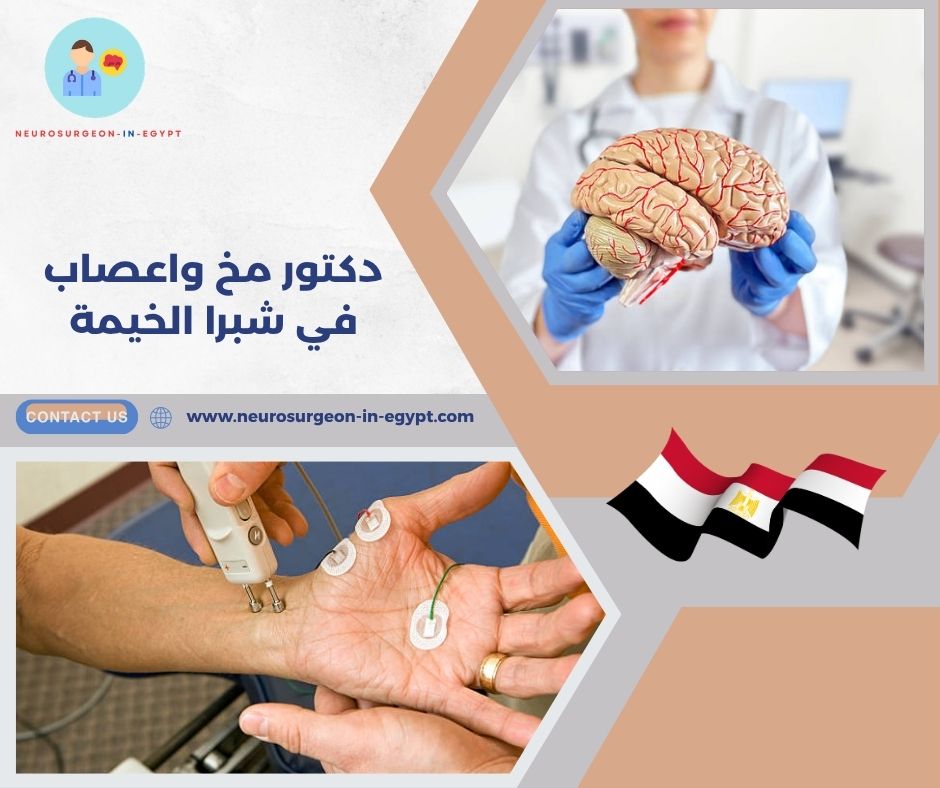 دكتور مخ واعصاب في شبرا الخيمة